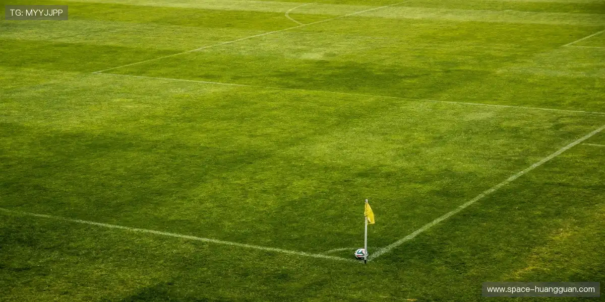 🏀 神仙打架瞬息万变，每一球都值回票价，精彩程度超乎想象！💎